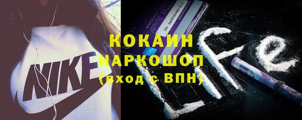 дживик Абаза