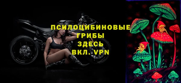 дживик Абаза