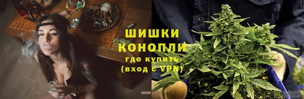 дживик Абаза