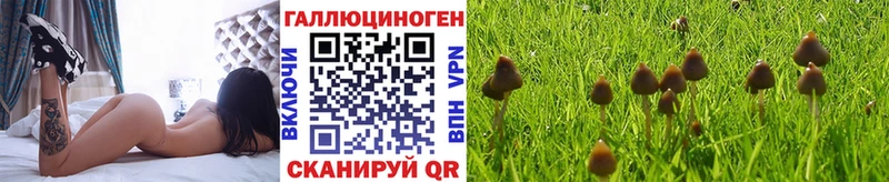Галлюциногенные грибы MAGIC MUSHROOMS Калач